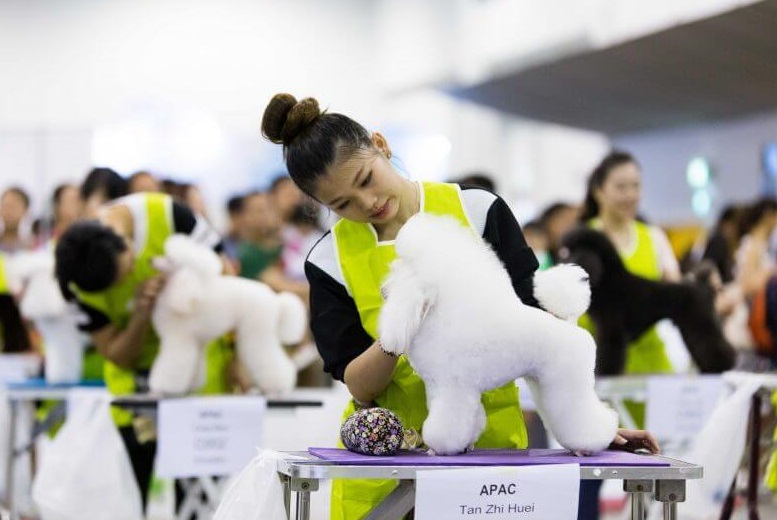 2025新加坡宠物展览会（SG Pet Festival 2025）