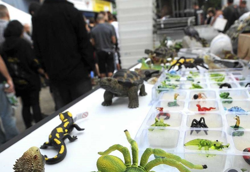 2024德国哈姆玻璃容器宠物展览会（Terraristika Hamm 2024）
