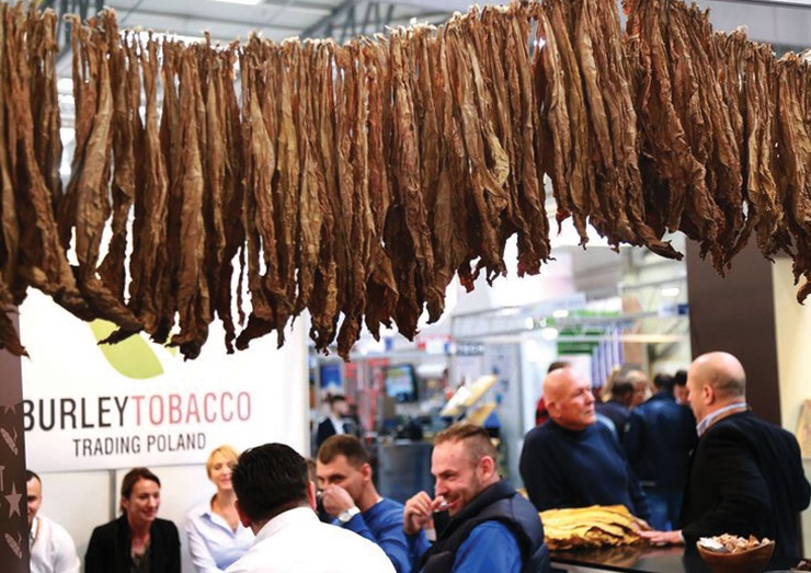 2025德国多特蒙德烟草雪茄展览会（inter tabac 2025）